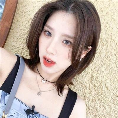 一周的朋友2017